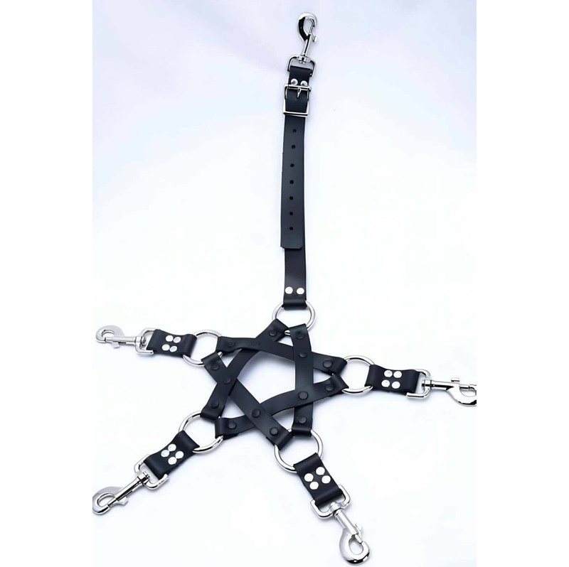 mery Erkek Fantazi Deri Harness Takım - BRFM86 Mery Woman görsel 8