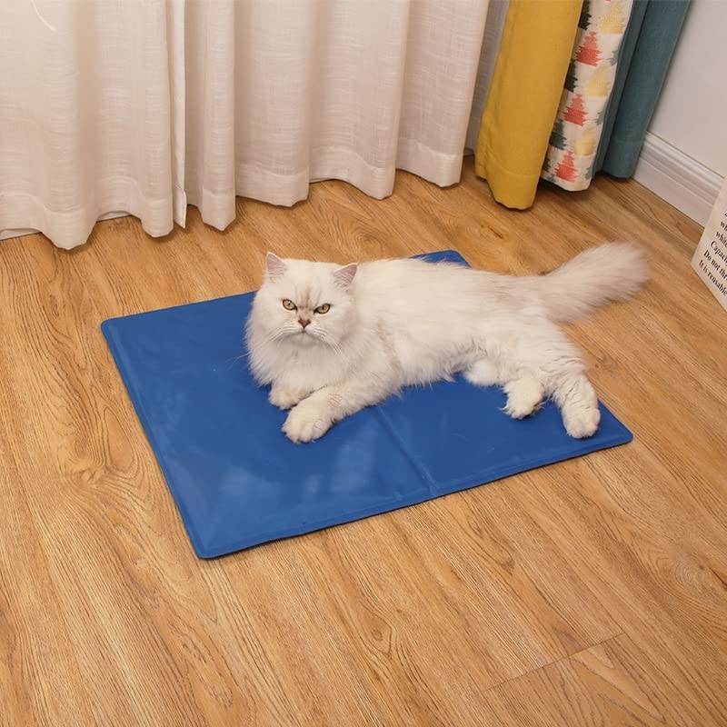 Die Grup Kahu Naturals Somon Yağlı Malt, Omega-3 (Epa & Dha) Içerikli, Kedi ve Köpek Için, 100 G görsel 5