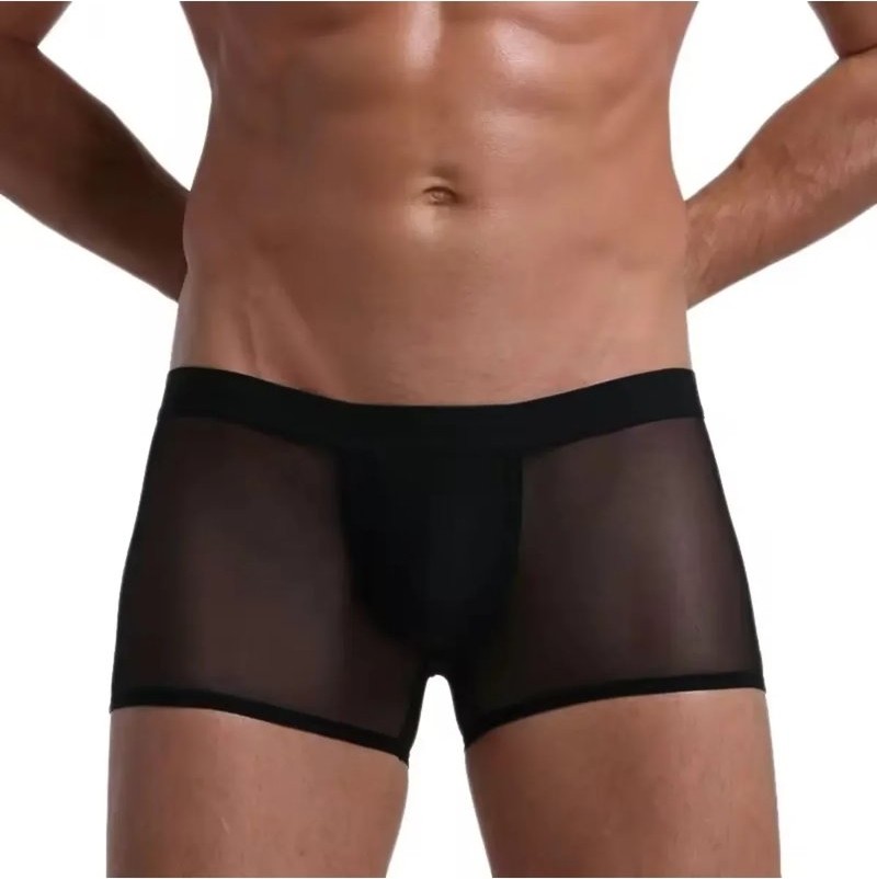 mery Fantezi Transparan Tül Erkek Boxer Fantezi Tanga Mery Woman görsel 4