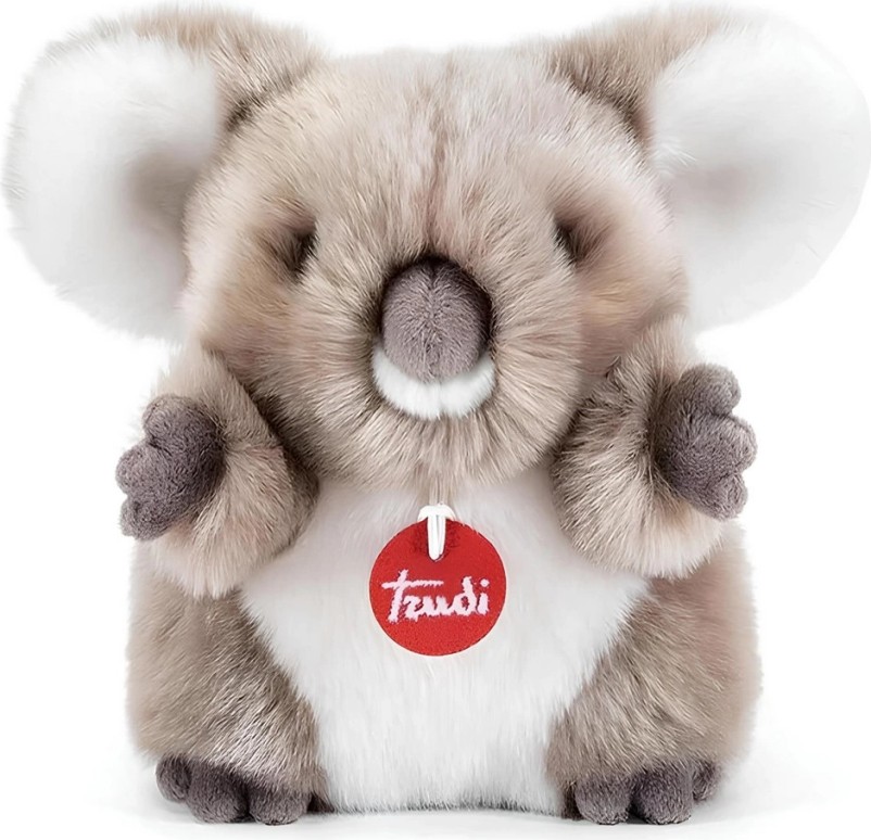 Dorasan Fluffy Koala
