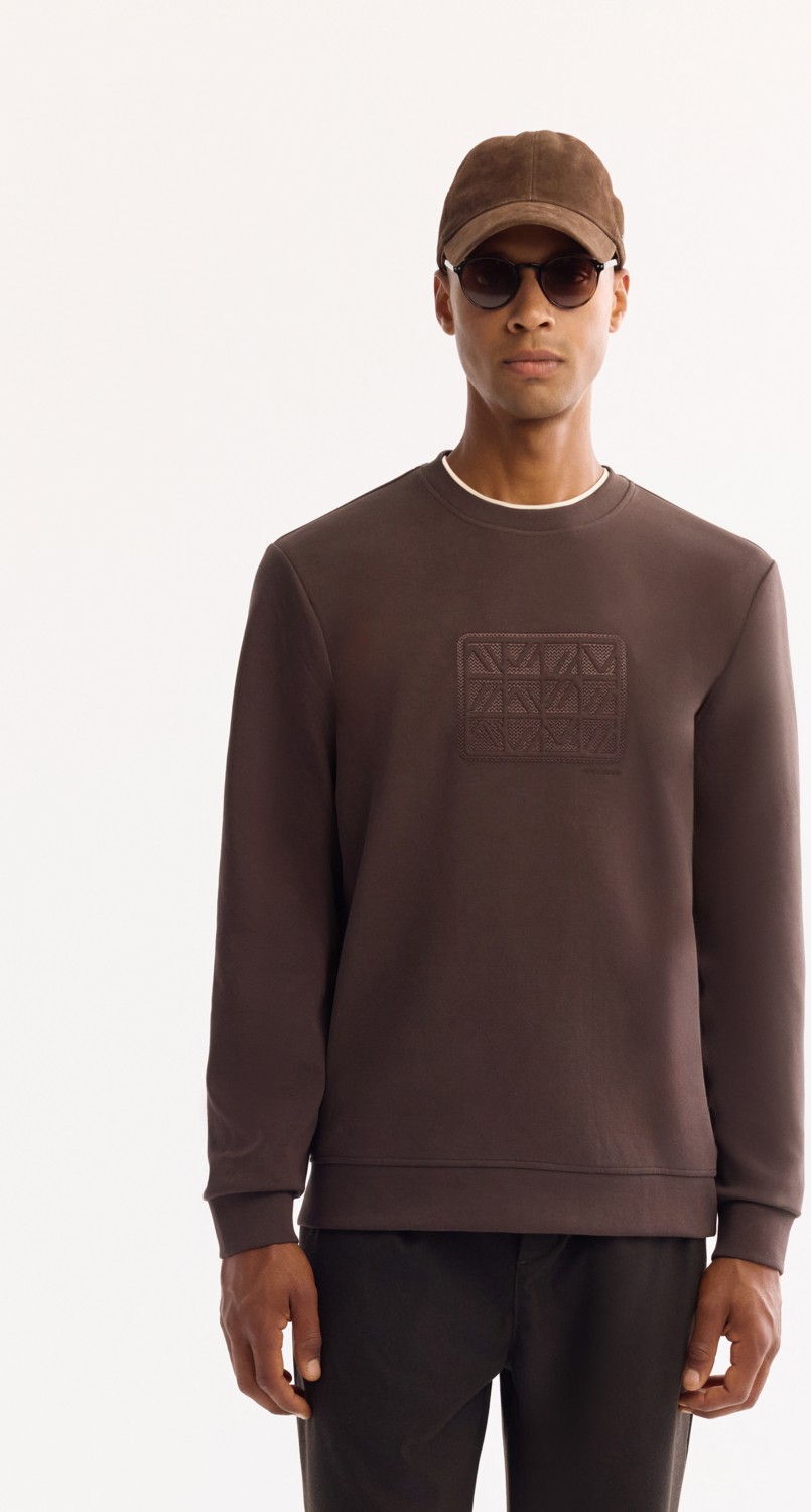 AVVA Erkek Vizon Bisiklet Yaka Pamuklu Bi-Stretch Baskılı Regular Fit Sweatshirt A52Y1289 görsel 8