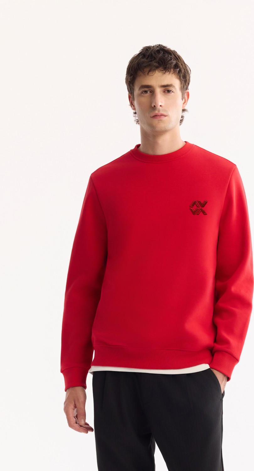 AVVA Erkek Siyah Bisiklet Yaka Pamuklu Bi-Stretch Basic Regular Fit Sweatshirt A52Y1328 görsel 4
