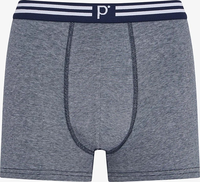 Penti Erkek Smart Checks 5'li Boxer görsel 2