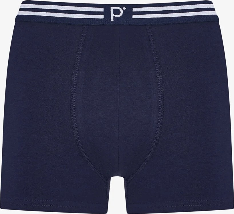 Penti Erkek Smart Checks 5'li Boxer görsel 5