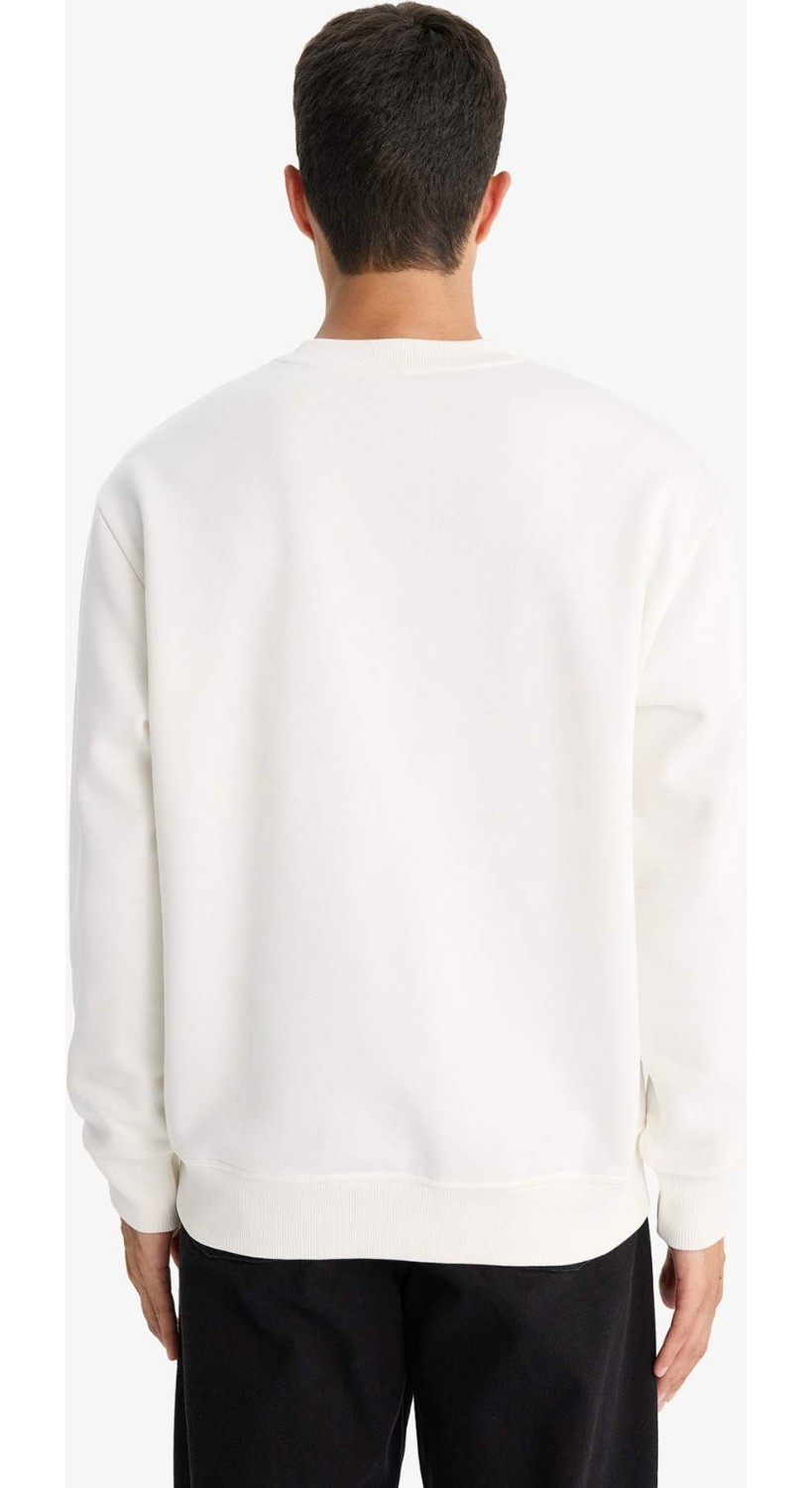 DeFacto Relax Fit Bisiklet Yaka Kalın İçi Yumuşak Tüylü Basic Düz Sweatshirt T5139AZ25AU görsel 6
