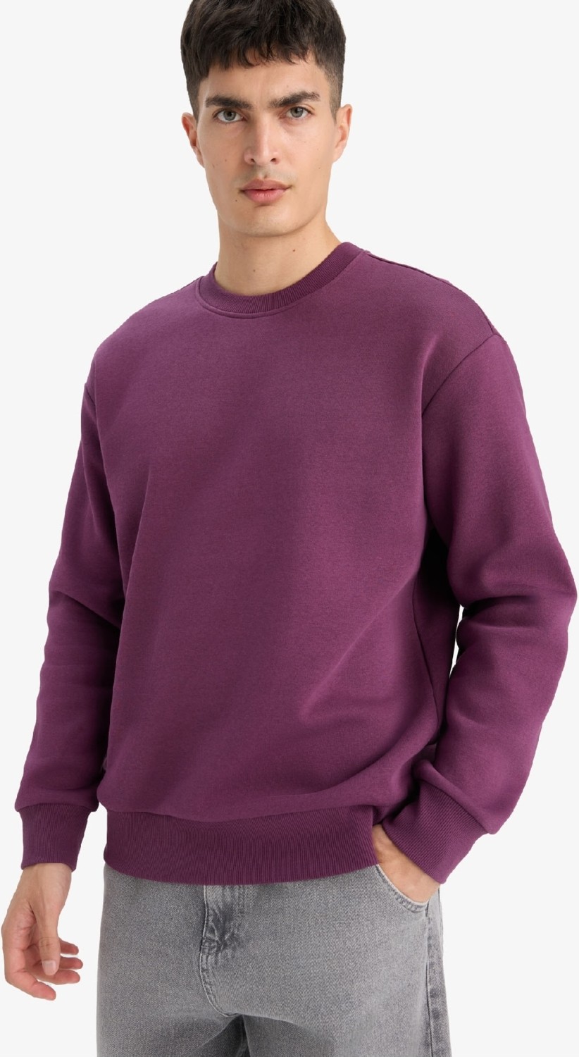 DeFacto Relax Fit Bisiklet Yaka Kalın İçi Yumuşak Tüylü Basic Düz Sweatshirt T5139AZ25AU
