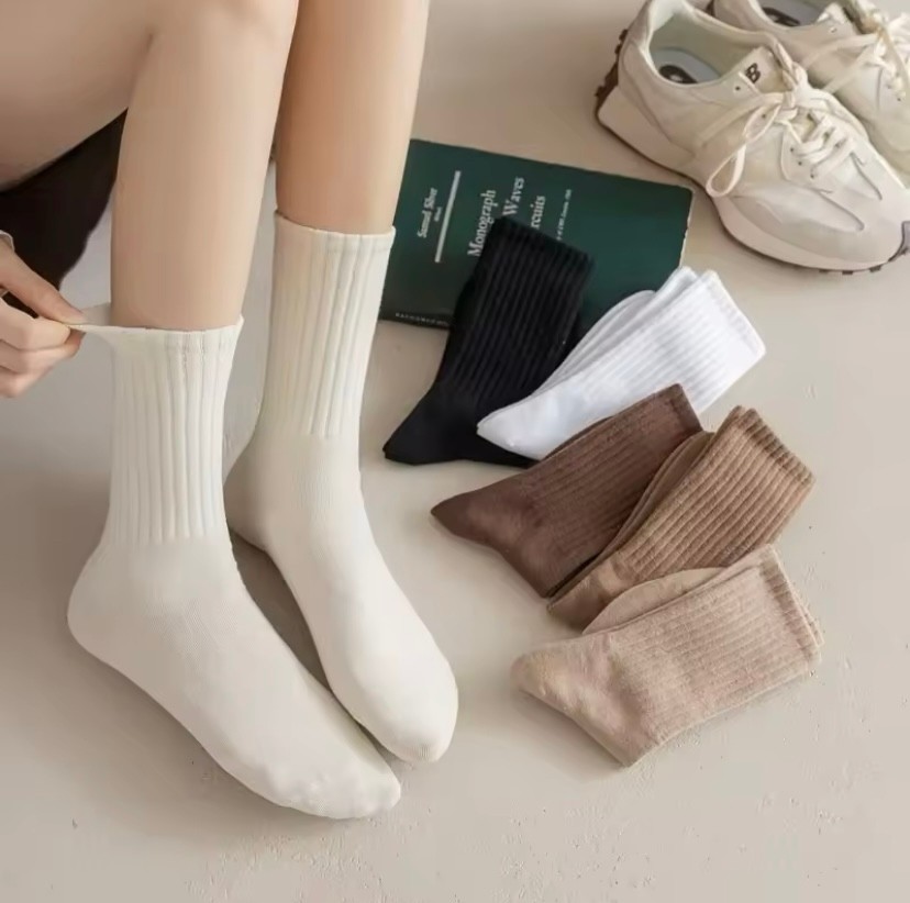 Çorap Kurdu 6'lı Ekonomik Paket Kadın Tenis Çorap Set görsel 2