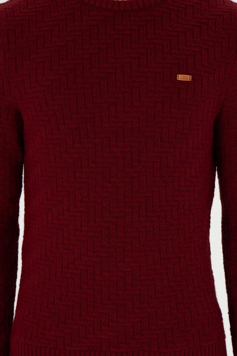 U.S. Polo Assn. Erkek Slim Fit Bisiklet Yaka Taş Kazak 50297050-VR049 görsel 7