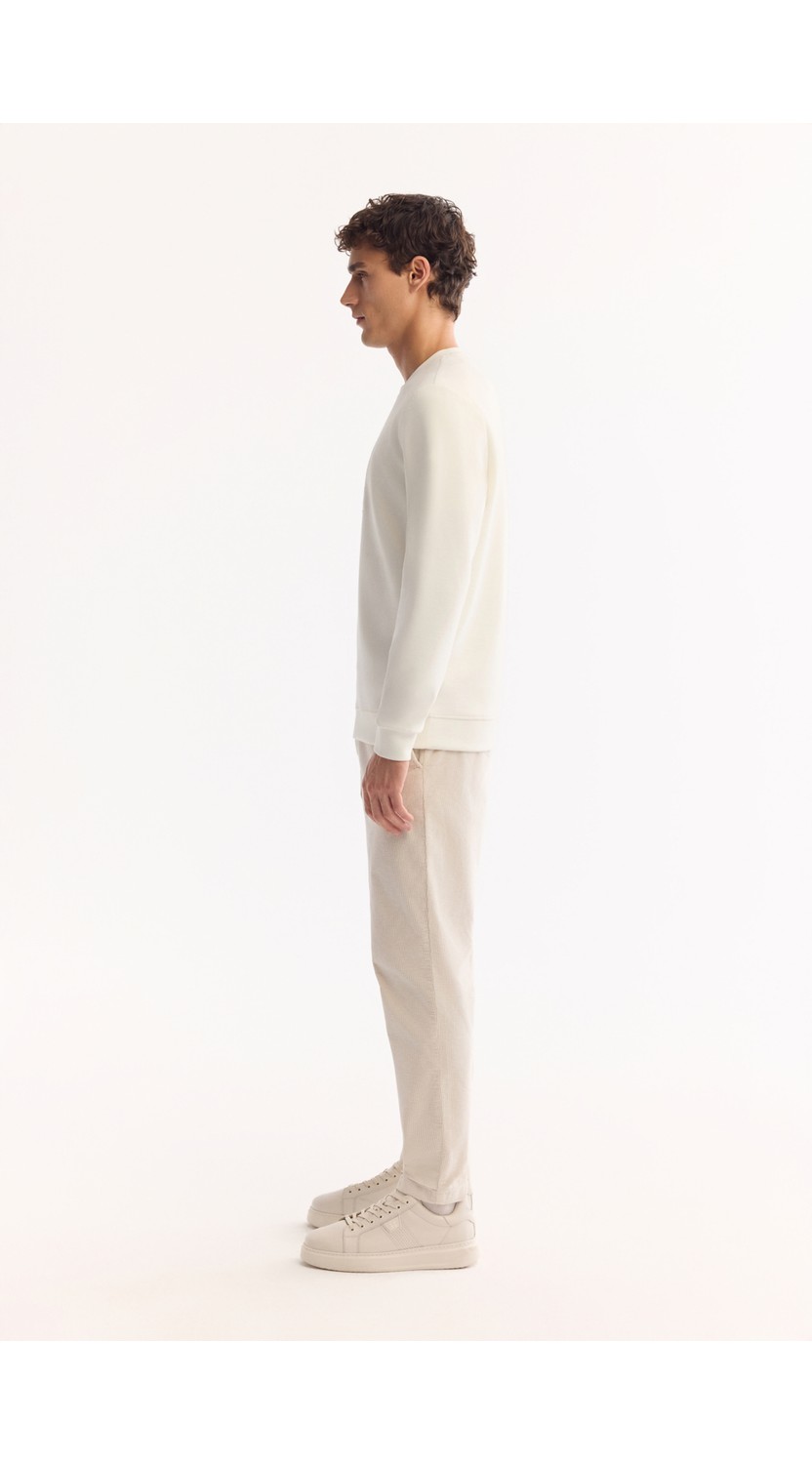 AVVA Erkek Vizon Bisiklet Yaka Pamuklu Bi-Stretch Baskılı Regular Fit Sweatshirt A52Y1289 görsel 3