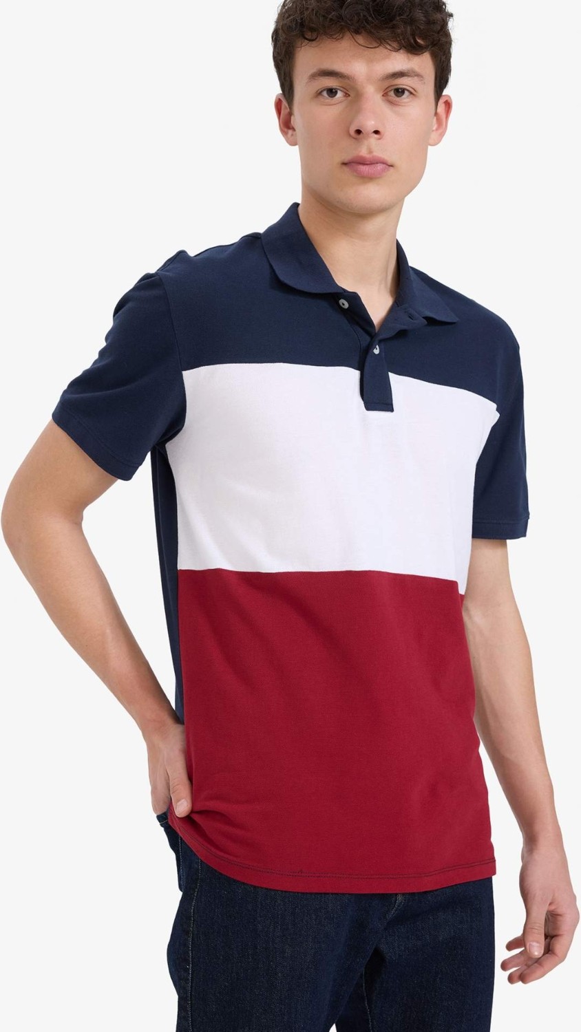 DeFacto %100 Pamuk Regular Fit Polo Yaka Bloklu Kısa Kollu Tişört D7940AX25SP görsel 8