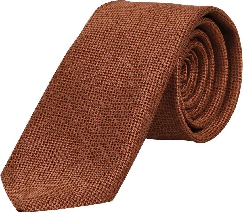 Scorpion Klasik & Modern Stil Uyumlu Armürlü Erkek Kravat, Özel Gün ve Iş Hayatı Için görsel 4