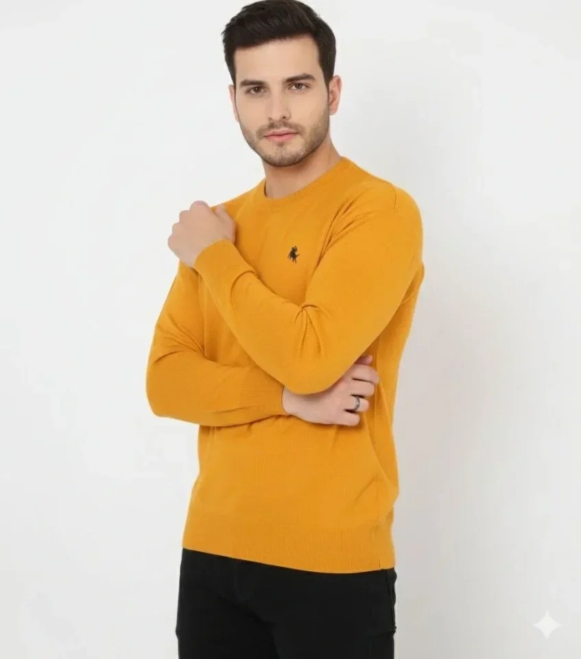 Erkek Bisiklet Yaka Nakış Işlemeli Triko Kazak Yumuşak Dokulu Pamuklu Ince Dokuma, Uzun Kollu Rahat Regular Kalıp - Turuncu görsel 4