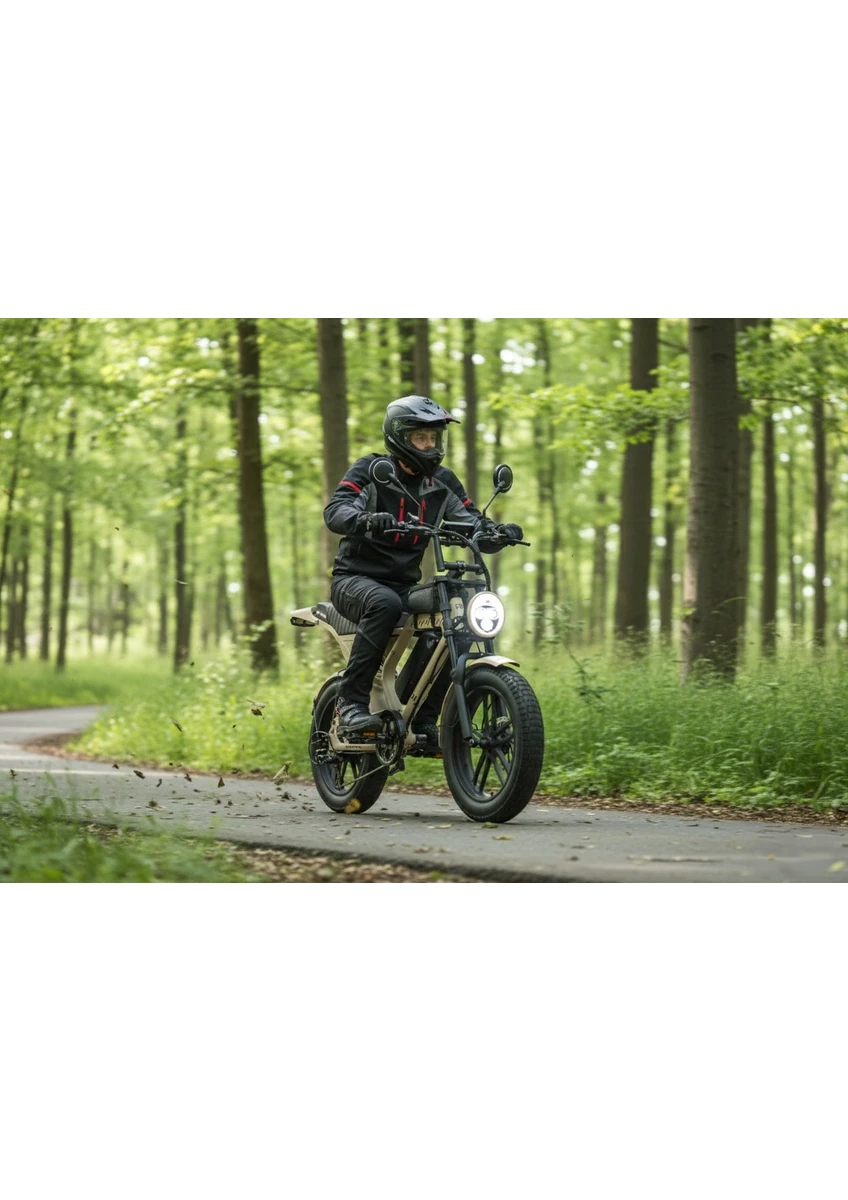 Ape Ryder Mandrıll 1000W Elektrikli Bisiklet Ayna Çanta ve El Gazı Hediyeli görsel 4
