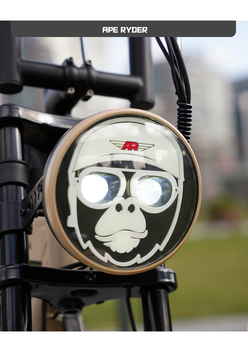 Ape Ryder Mandrıll 1000W Elektrikli Bisiklet Ayna Çanta ve El Gazı Hediyeli görsel 8