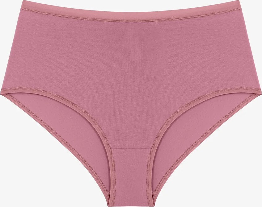 Penti Wild Rose Çiçekli Yüksek Bel 3'lü Slip Külot görsel 5