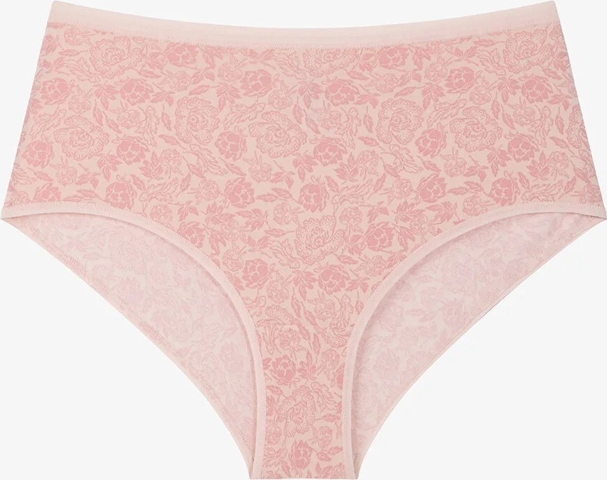 Penti Wild Rose Çiçekli Yüksek Bel 3'lü Slip Külot görsel 3