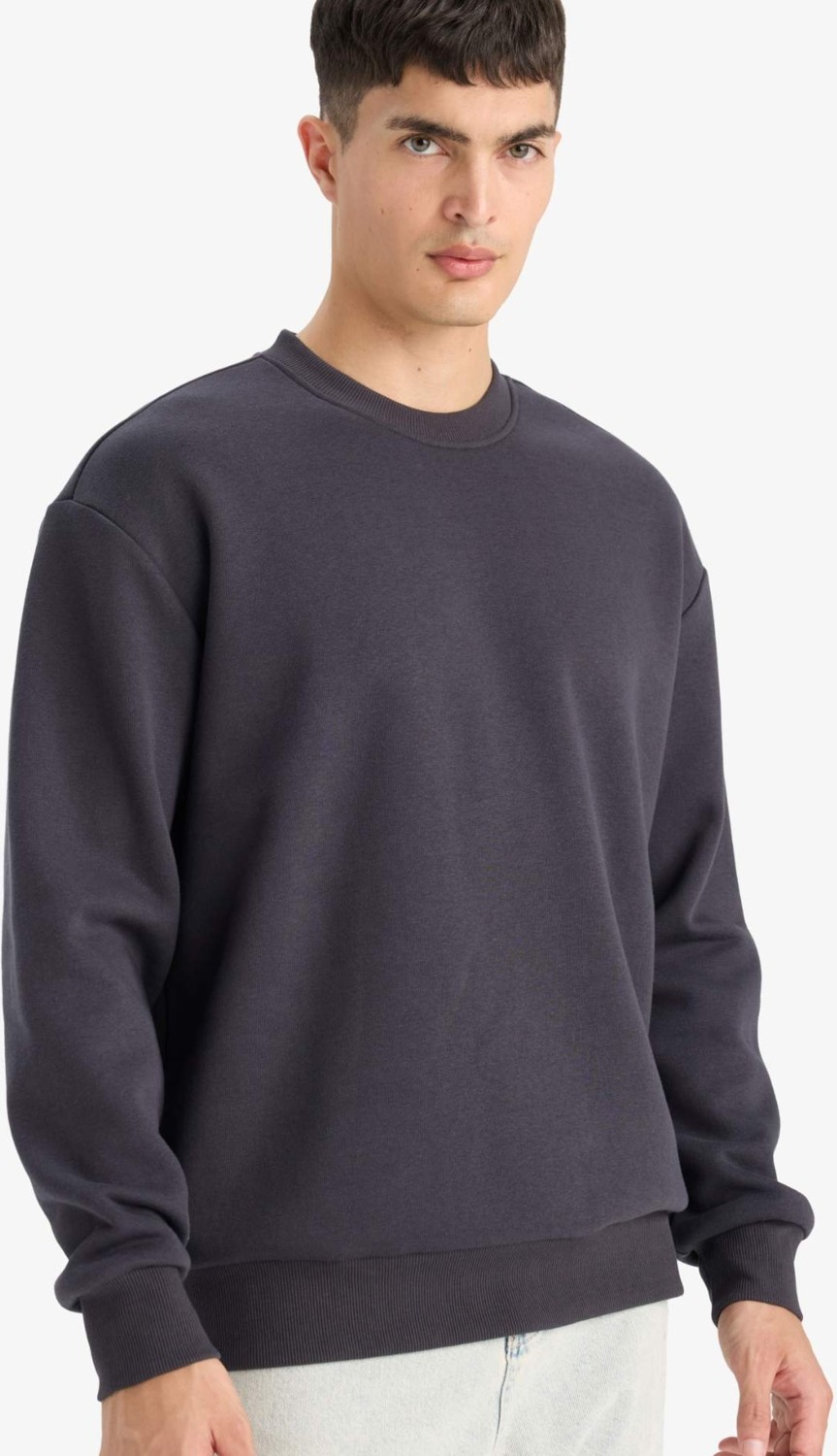DeFacto Relax Fit Bisiklet Yaka Kalın İçi Yumuşak Tüylü Basic Düz Sweatshirt T5139AZ25AU