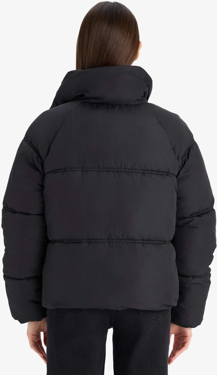 DeFacto Su İtici Regular Fit Dik Yaka Fermuarlı Şişme Mont E8690AX25AU görsel 4