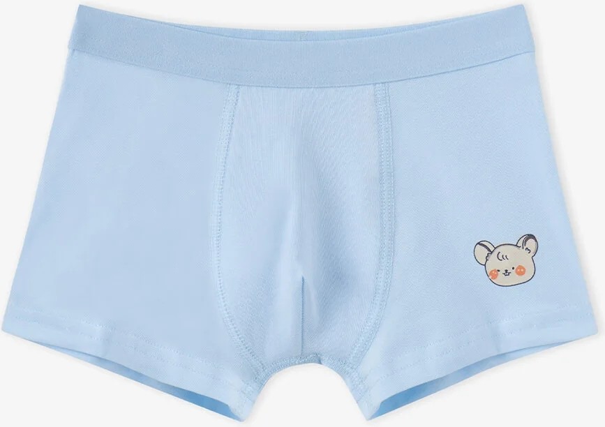 Penti Erkek Çocuk Mavi Cute Animals Pamuklu 3'lü Boxer görsel 4