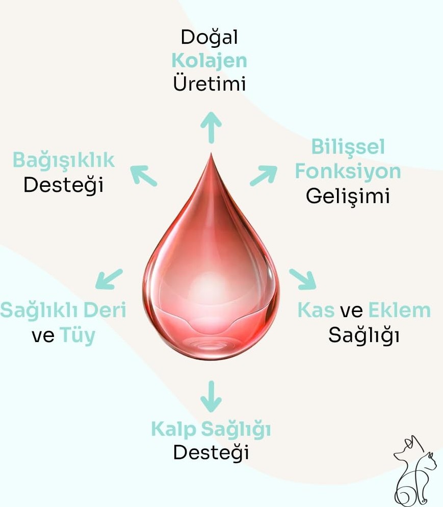 Aesco Kahu Naturals Pure Salmon VITALITY%100 Doğal Norveç Somon Yağı, Omega 3 ve 6, E Vitamini, Kedi ve Köpek, 250 ml görsel 5