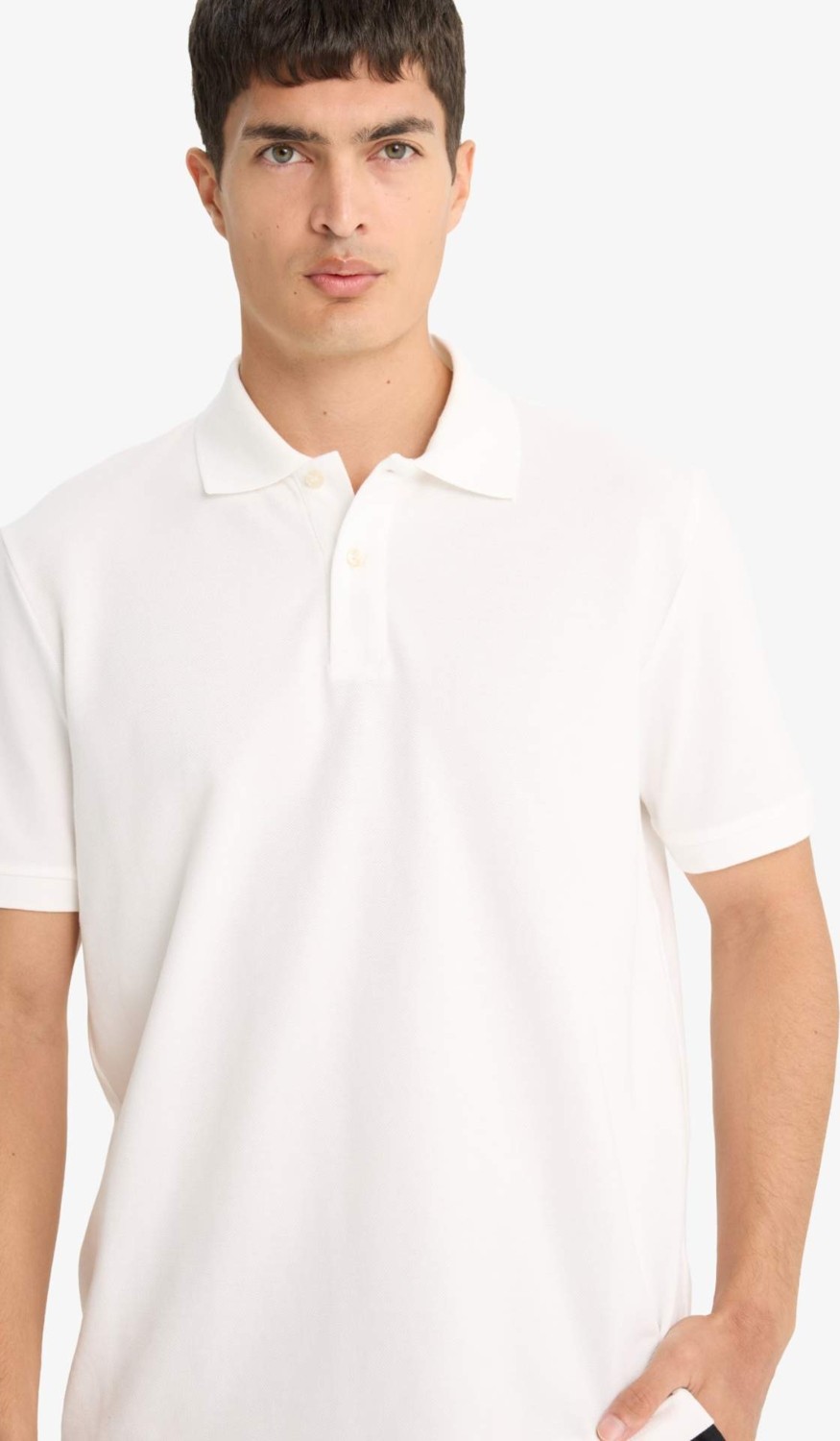 DeFacto %100 Pamuk Regular Fit Polo Tişört E9504AX25SM