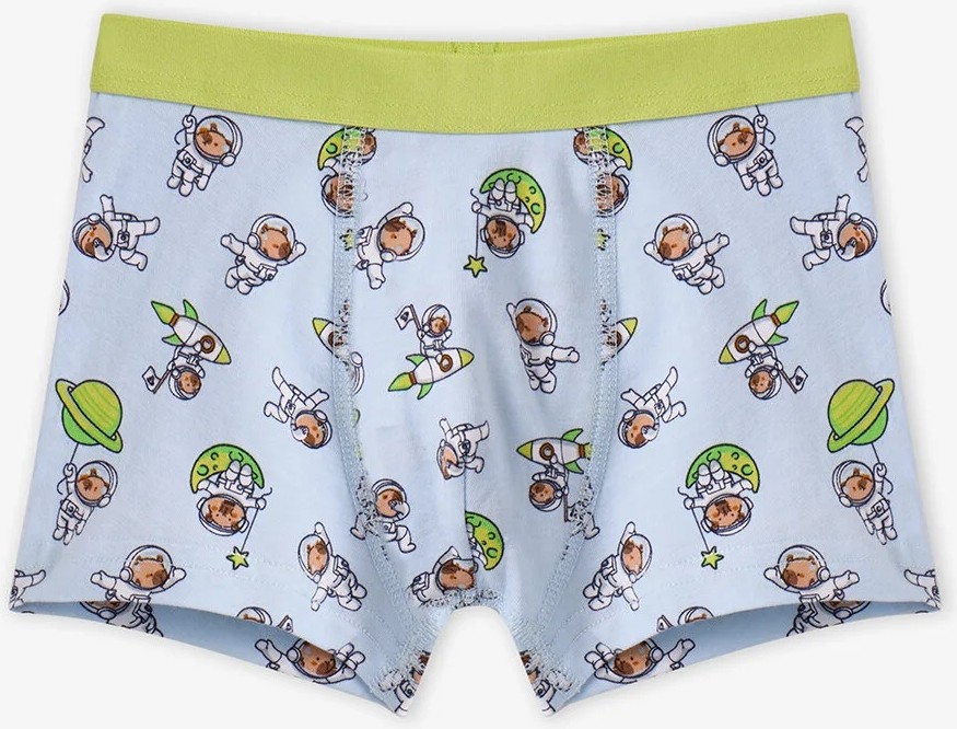 Penti Erkek Çocuk Mavi Capybaras Space Pamuklu 3'lü Boxer görsel 2