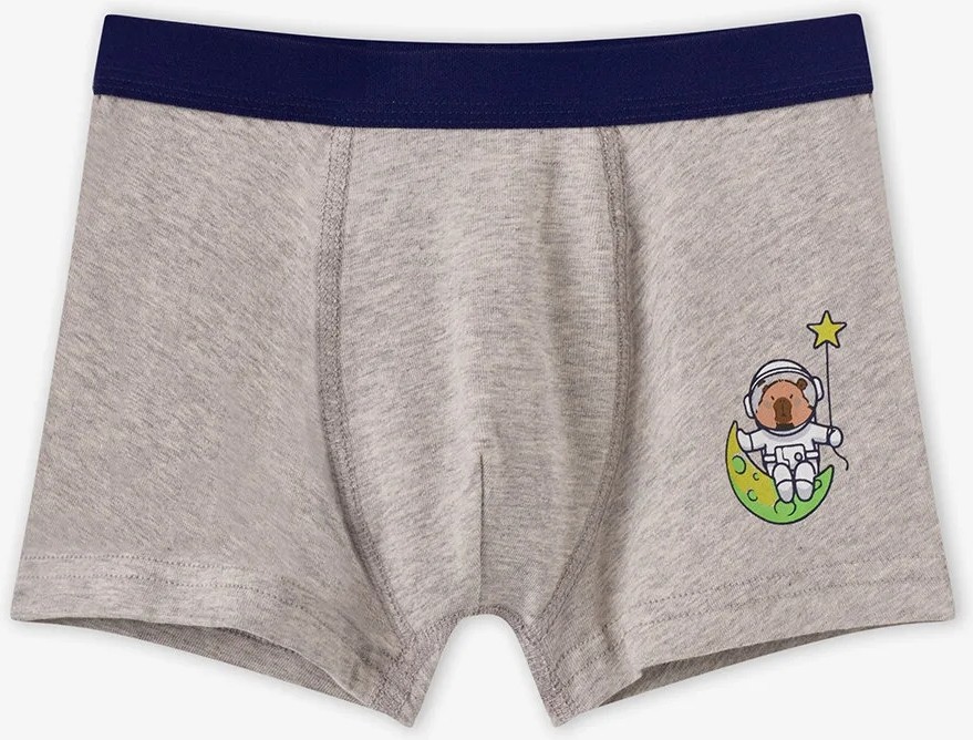 Penti Erkek Çocuk Mavi Capybaras Space Pamuklu 3'lü Boxer görsel 3