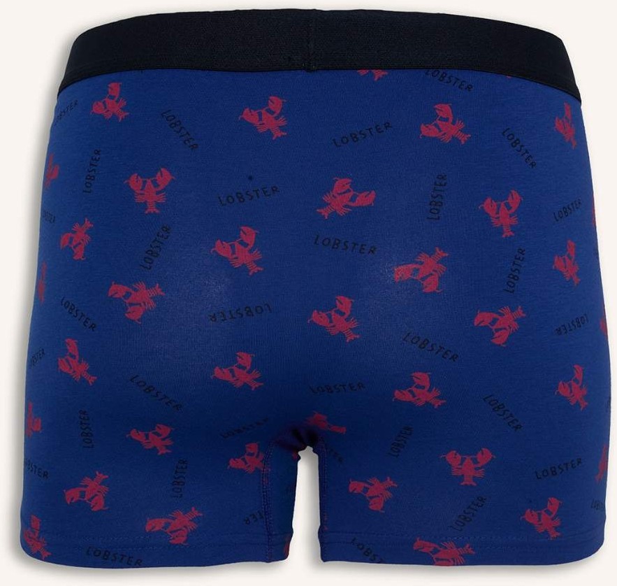 DeFacto Regular Fit Hayvan Baskılı 3'lü Lacivert Boxer Seti C3291AX26SP görsel 4