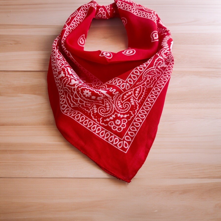 Als Accessories Kadın Kırmızı Renk Etnik Desenli %100 Koton Bandana, Saç Bandı görsel 3
