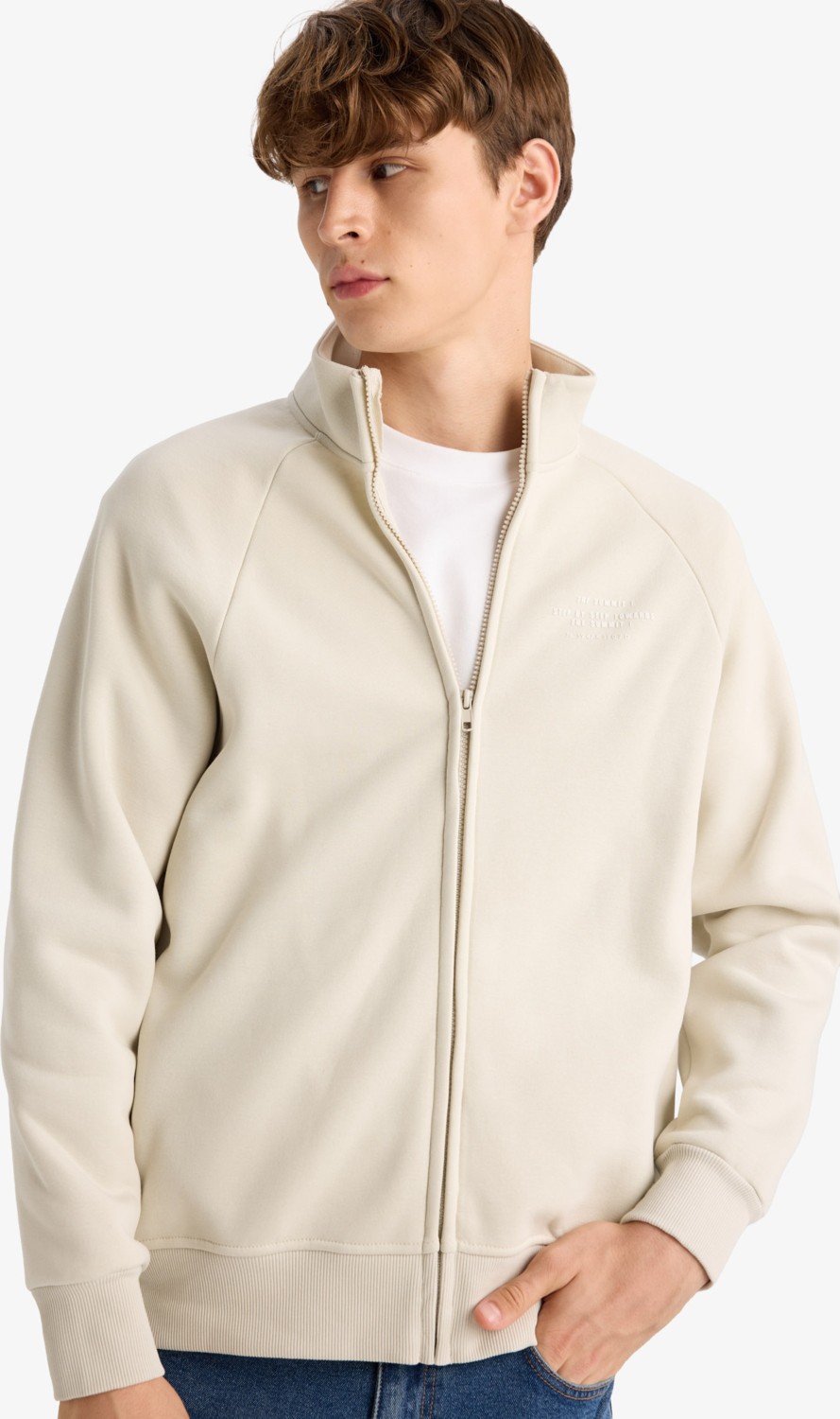 DeFacto Boxy Fit Dik Yaka Baskılı İçi Yumuşak Tüylü Cepli Fermuarlı Sweatshirt E1367AX25AU görsel 4