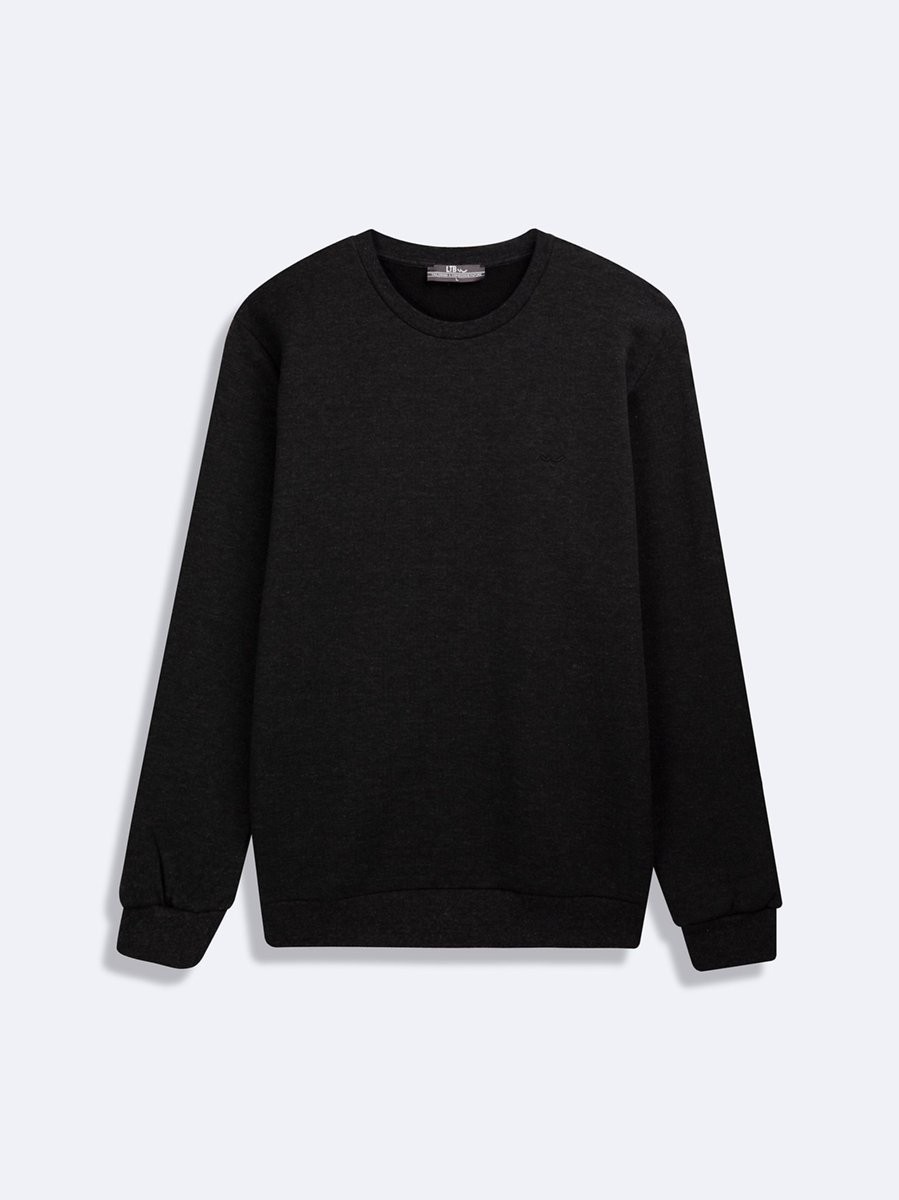 LTB Regular Fit Basic Bisiklet Yaka Antrasit Sweatshırt görsel 4