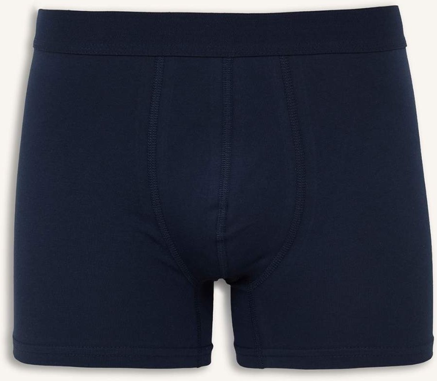 DeFacto Regular Fit Desenli 3'lü Boxer E3364AX26SP görsel 6