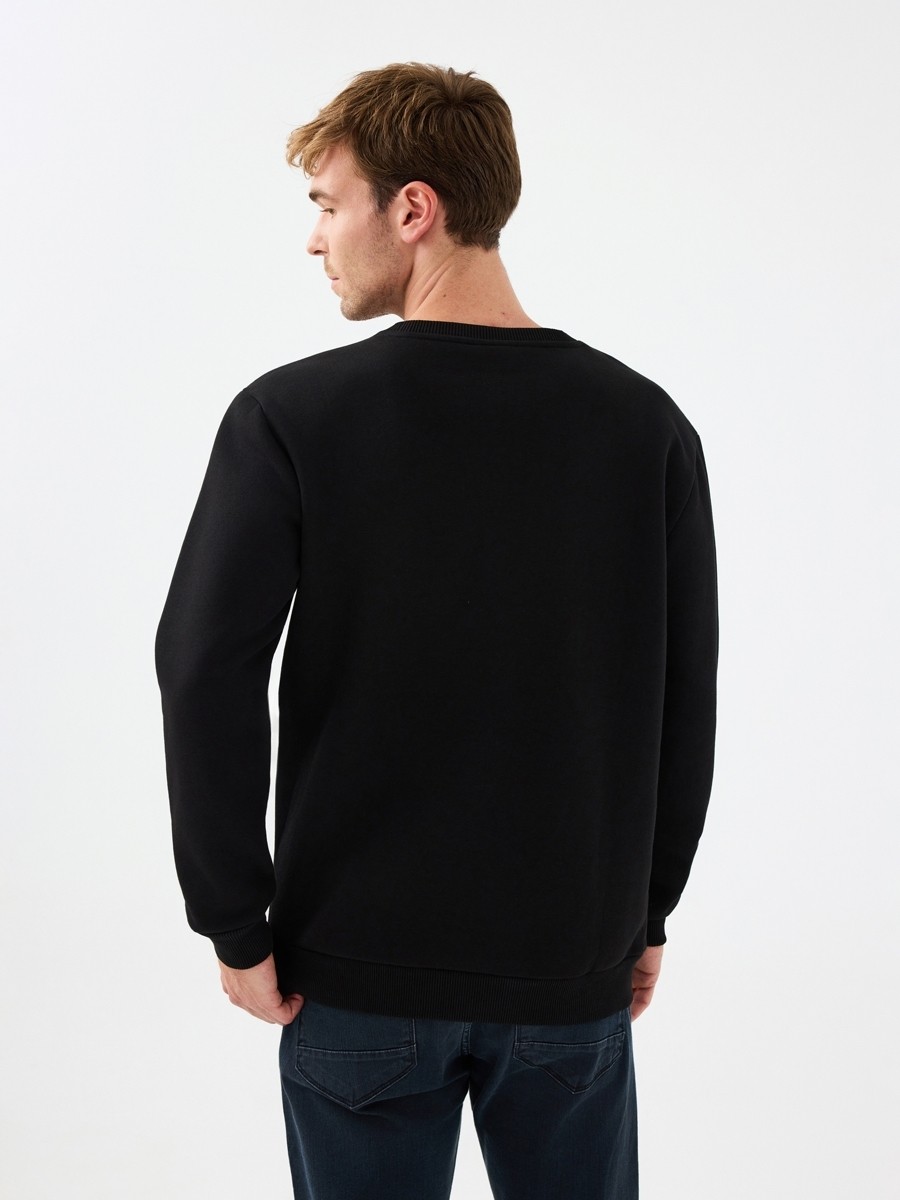 Loft Regular Fit Erkek Sweatshirt görsel 3