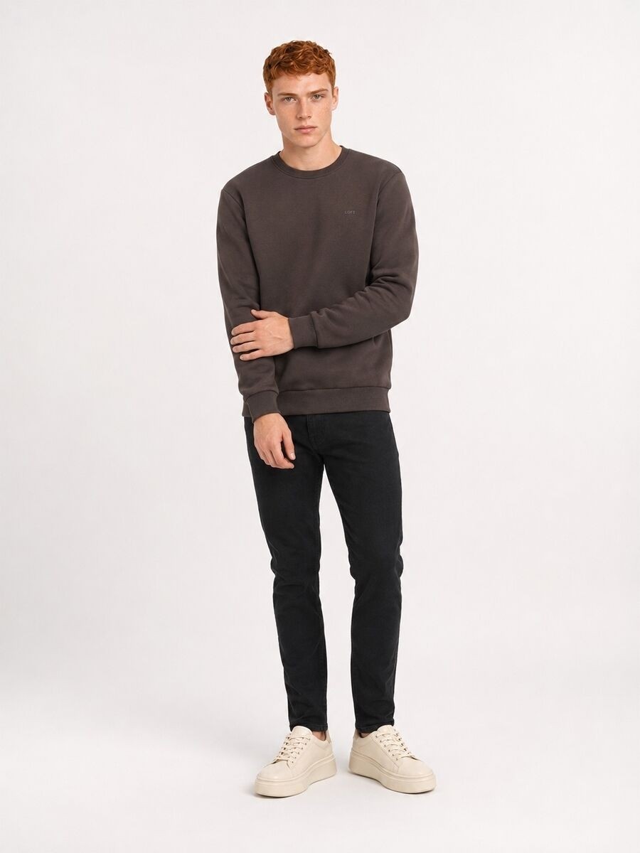 Loft Regular Fit Erkek Sweatshirt görsel 2