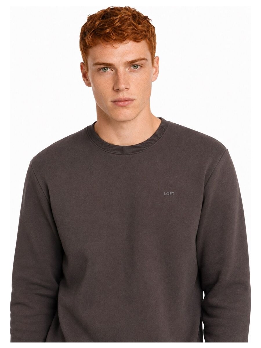 Loft Regular Fit Erkek Sweatshirt görsel 3