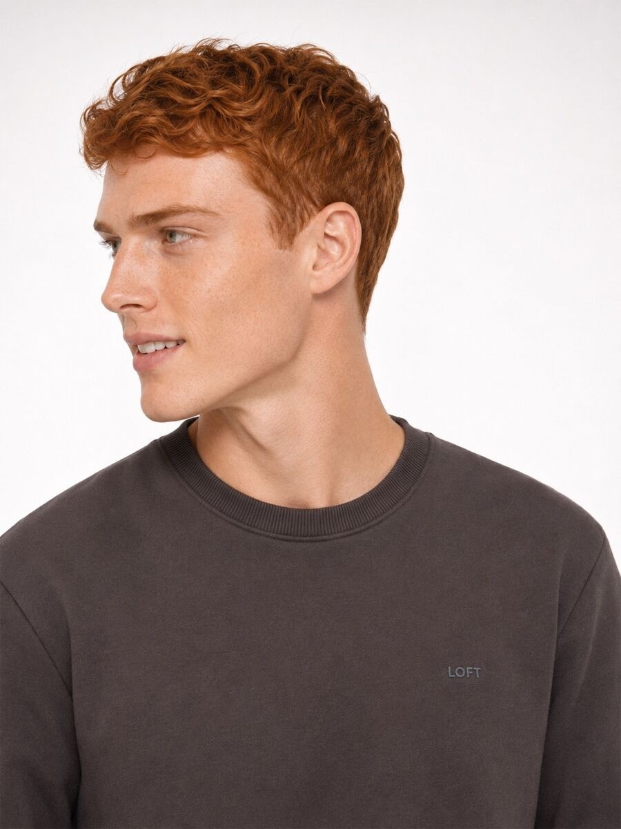 Loft Regular Fit Erkek Sweatshirt görsel 4