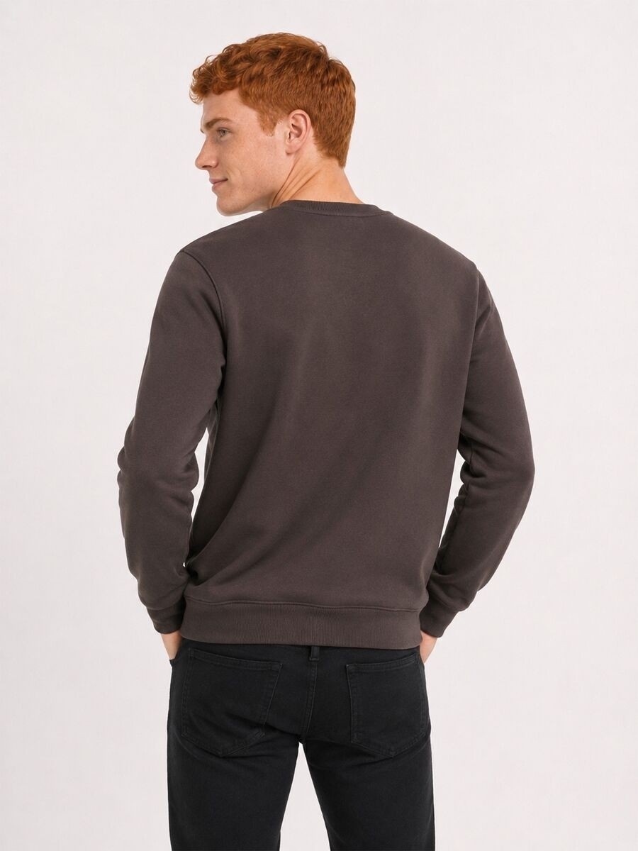 Loft Regular Fit Erkek Sweatshirt görsel 5