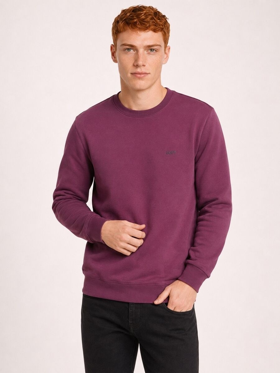 Loft Regular Fit Erkek Sweatshirt
