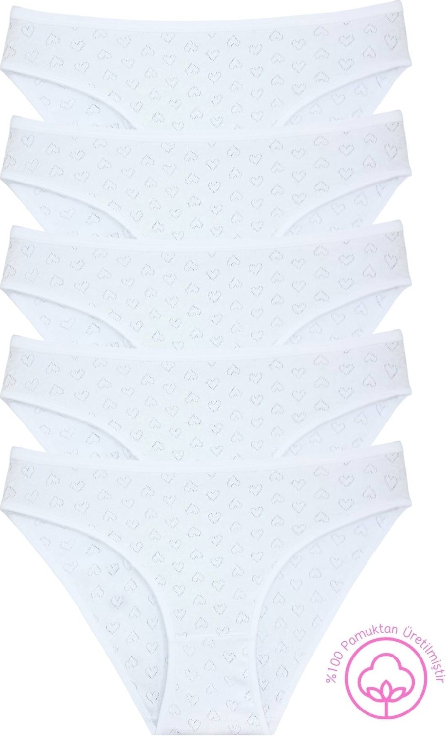 New Lilla 1501 Kalpli %100 Pamuklu 5'li Kadın Bikini Külot Paketi