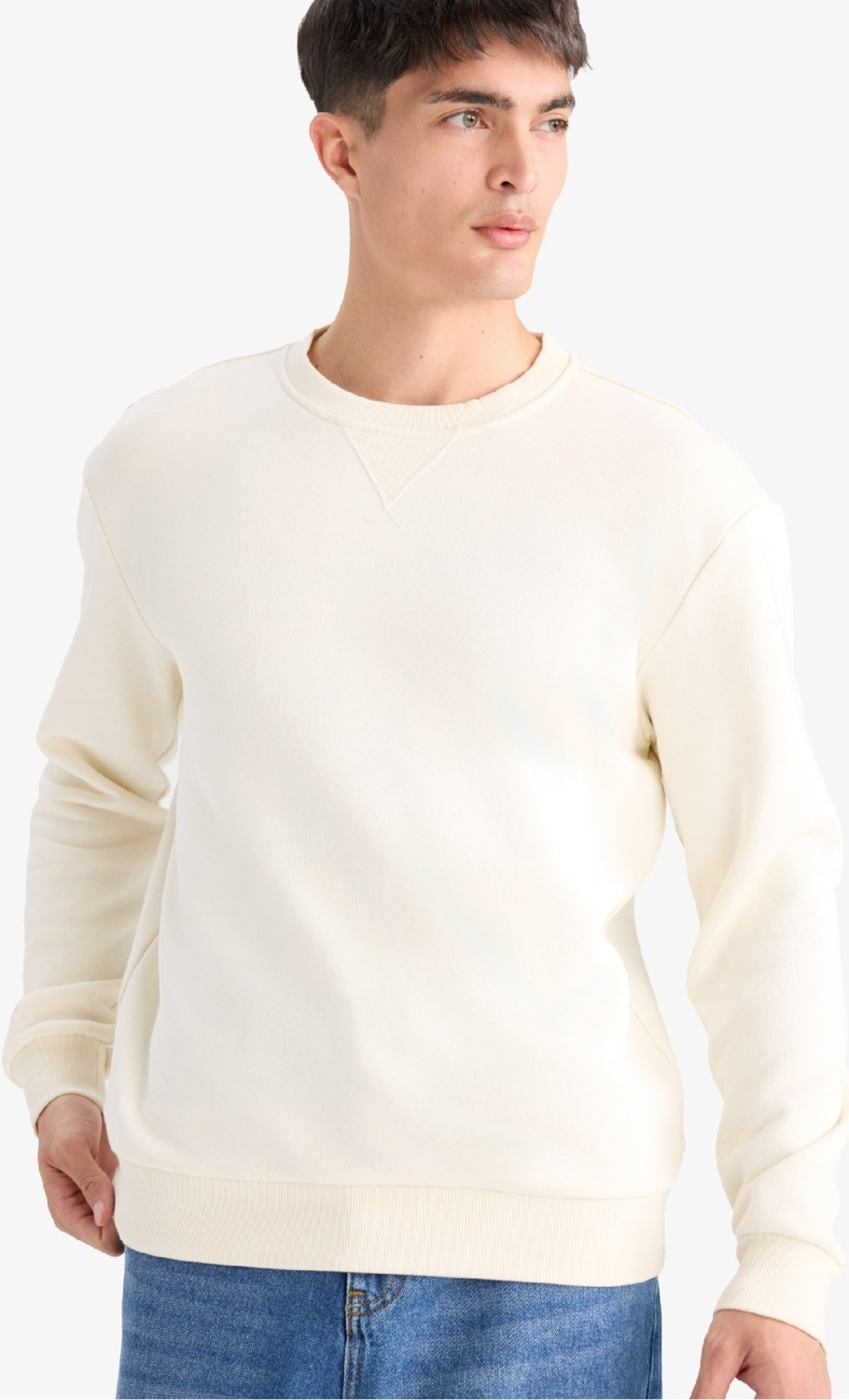 DeFacto Regular Fit Bisiklet Yaka Basic Düz Kalın Sweatshirt T3777AZ25AU