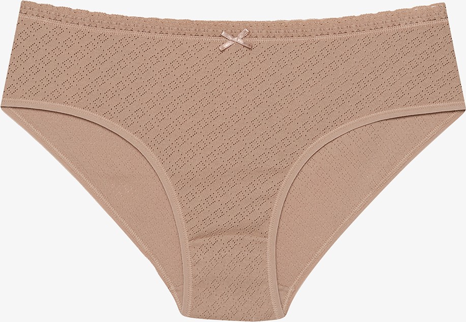 Penti Soft Pointel Basic 3'lü Pamuklu Çok Renkli Hipster Külot görsel 7
