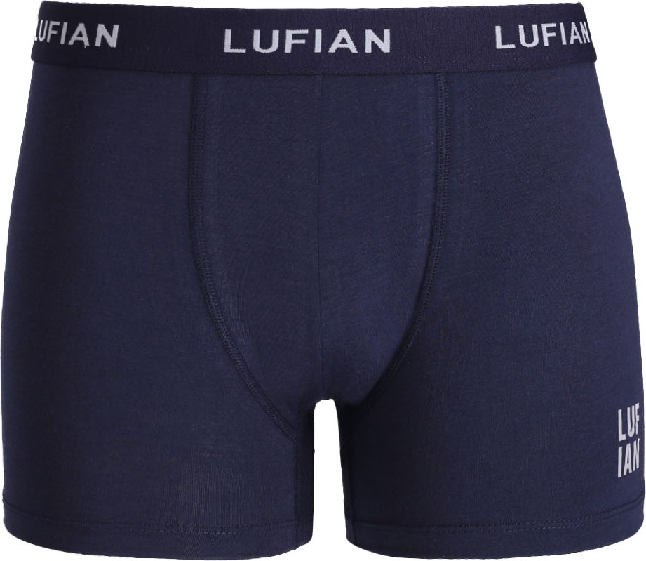 Lufian Darcy Erkek Pamuklu Boxer Siyah görsel 3