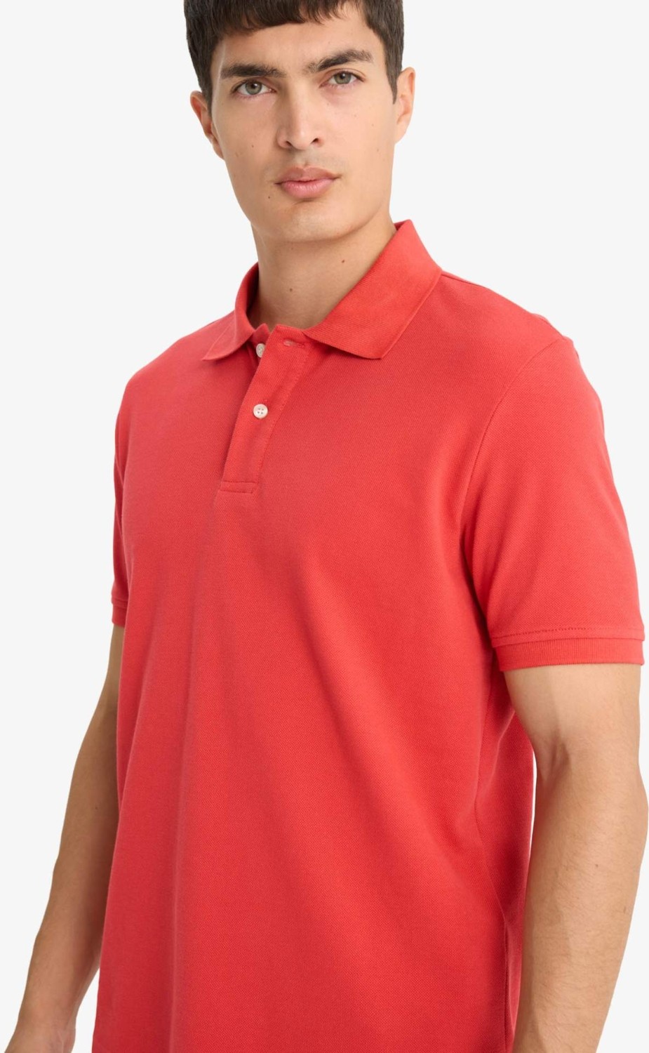 DeFacto %100 Pamuk Regular Fit Polo Tişört E9504AX25SM görsel 4