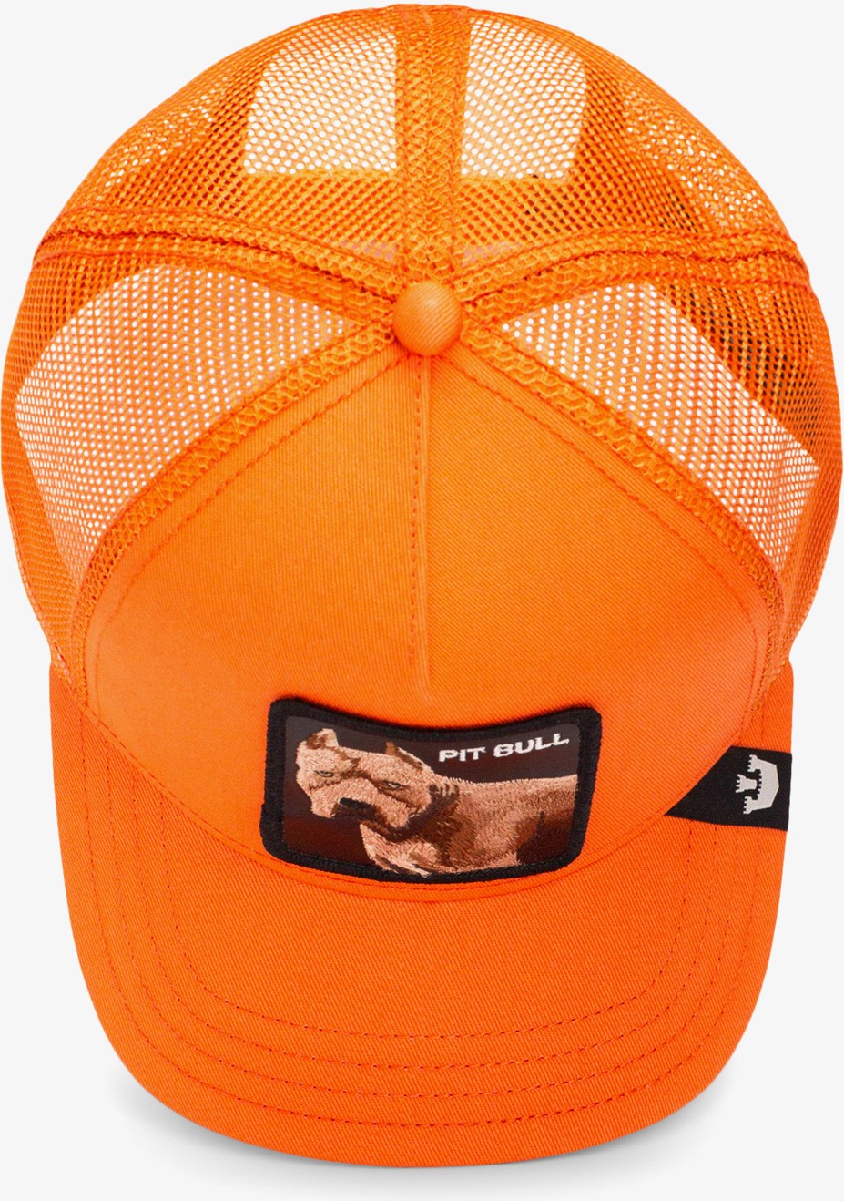Goorin Bros The Dog Pitbull.orange görsel 5