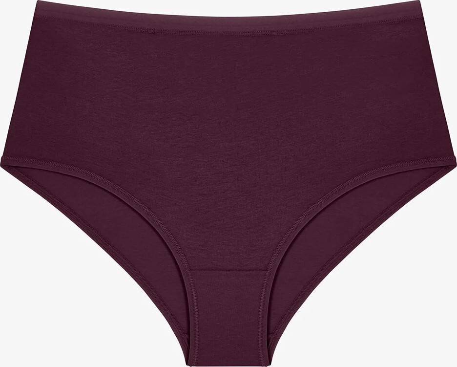 Penti Dark Mauve Yüksek Bel 5'li Slip Külot görsel 4