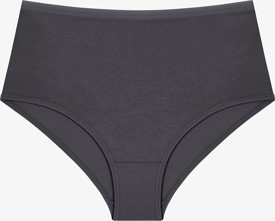 Penti Dark Mauve Yüksek Bel 5'li Slip Külot görsel 5