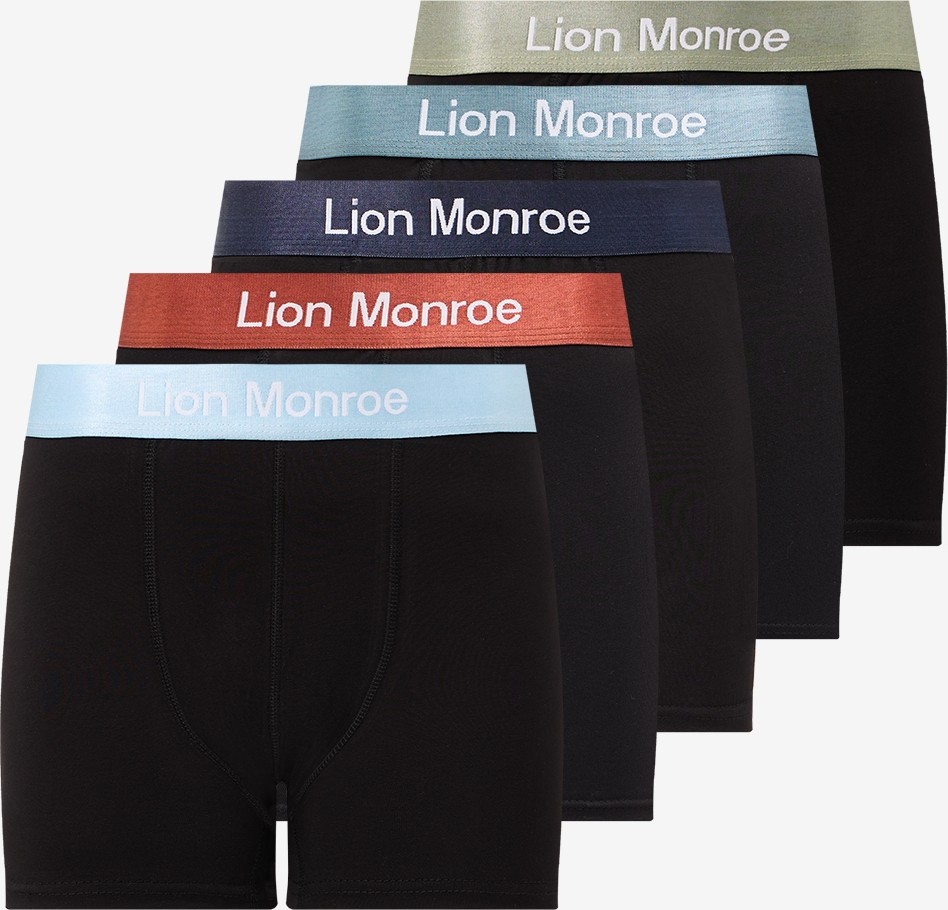 Lion Monroe Erkek Premium Saf Pamuklu Siyah 5'li Esnek Boxer Paketi Hediye Kutulu - QUİTE BLACK görsel 5
