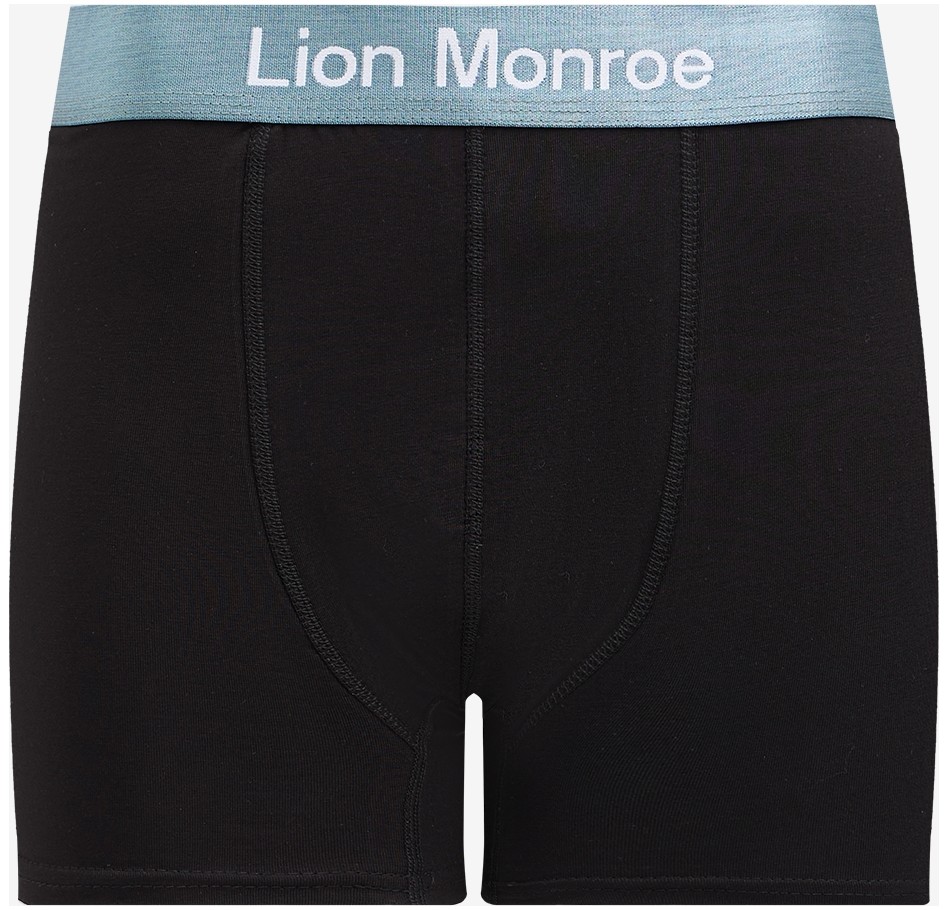 Lion Monroe Erkek Premium Saf Pamuklu Siyah 5'li Esnek Boxer Paketi Hediye Kutulu - QUİTE BLACK görsel 7