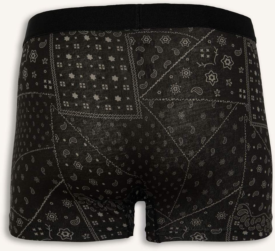 DeFacto Regular Fit Şal Desenli 3'lü Boxer C3883AX26AU görsel 3
