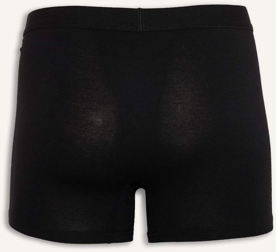 DeFacto Regular Fit 3'lü Boxer N4277AZ26SP görsel 3